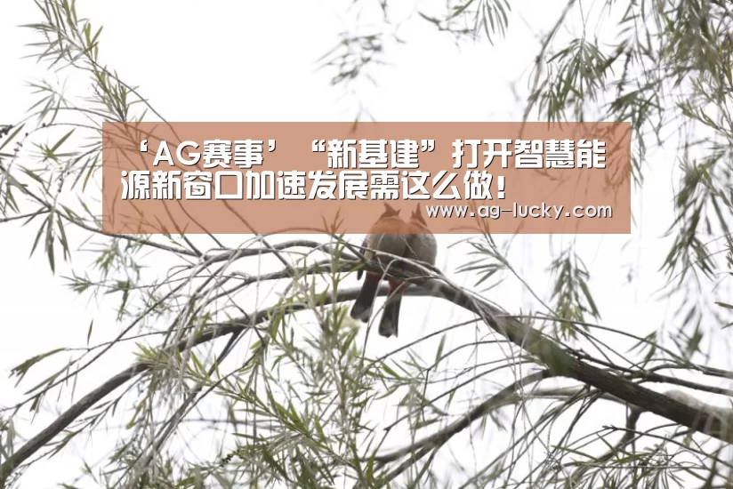 ‘AG赛事’“新基建”打开智慧能源新窗口加速发展需这么做!(图1) AG体育